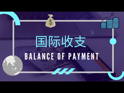 【经济学课程】 第十四课 || Balance of Payment (BOP) 国际收支