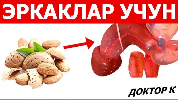 Nastya Kamenskiy bilan jinsiy aloqa, u butunlay yalangoch Nastya Kamenskiy bilan jinsiy aloqa, u butunlay yalangoch