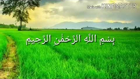 تلاوت زیبای الشیخ سعید عبدالصمد الزناتی سوره الرحمن