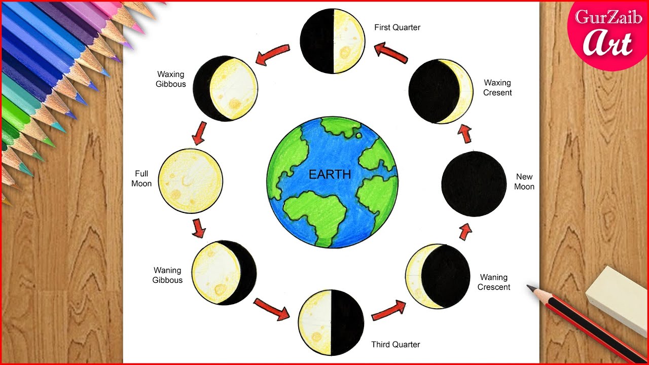 First Quarter Moon Phase Diagram