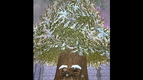 Wizard101 Level 50 Ice pvp #2