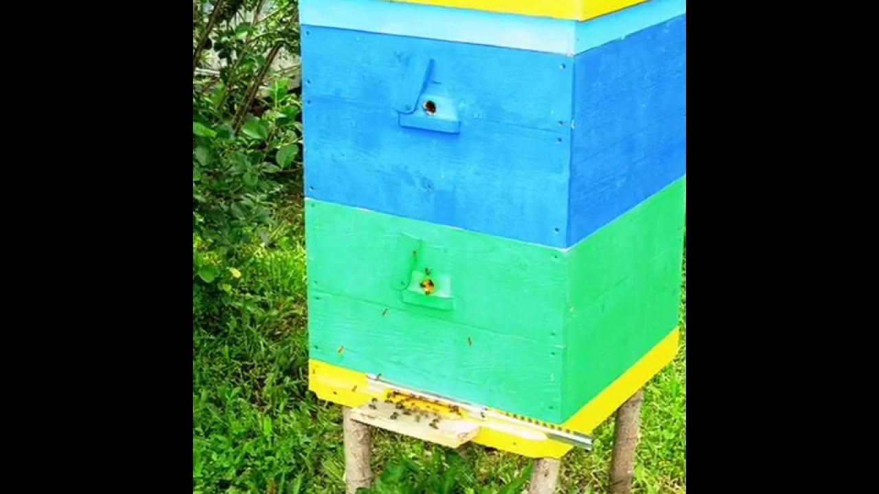Современный улей. Улей ютуб. Улей для пчел. Как проверить улей. Разборный улей.