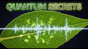 Quantum Vibrations in Photosynthesis: Secrets of Nature’s Quantum Music | Quantum Biology