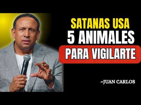 Casi Nadie lo Sabe Este ANIMAL en tu Baño Es Señal de BRUJERÍA Contra Ti ¡Cuidado