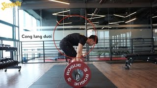 [DL3] Các biến thể và lỗi thường gặp khi deadlift