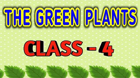 The green plants || Class 4 || Science