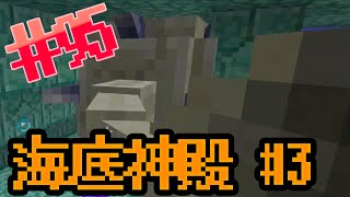 【海底神殿 #3】まぐにぃ普通に挑む：まぐにぃのマインクラフト実況#95