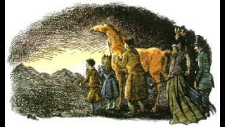 Celebrity Chapter 8   The Fight at the Lamp Post Net Worth