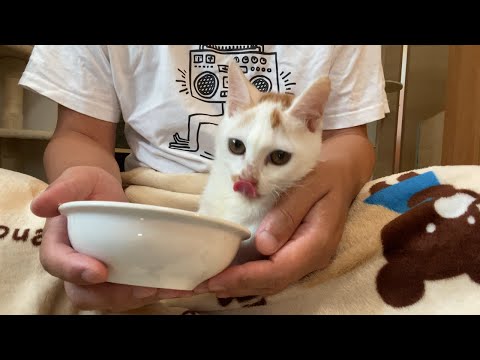 ロロ　カリカリに再挑戦