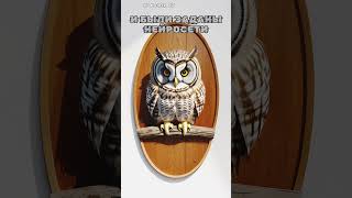 Нейросети расширяют границы | Шок #Kaiber #Нейросеть #Анимация #AI | owl oval