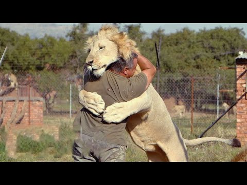 Случаи Невероятной Дружбы Людей и Диких Животных!