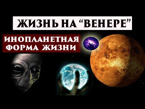 Видео: Реална ли е клиниката в Спектър?