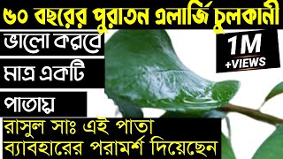 ৫০ বছরের পুরাতন এলার্জি চুলকানি দুর করবে হাদিসে বর্ণীত এই পাতা ইনশাআল্লাহ্