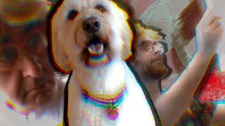 Painting A Portrait Of The Family Dog Ft. My Dad