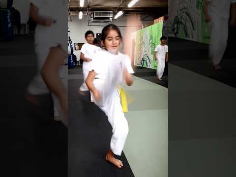 Kyokushin Kids Karate