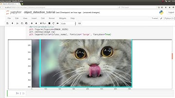 || Testing custom Object detector with tensorflow object detection api ||