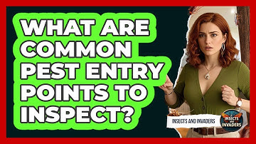 What Are Common Pest Entry Points To Inspect?