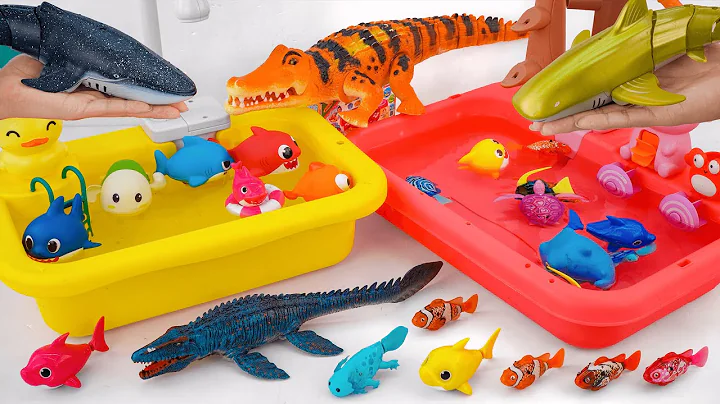 [toy asmr] Robo Fishing Playset & Zuru Alive Aquarium ASMR Satisfying with Unboxing Review Toys