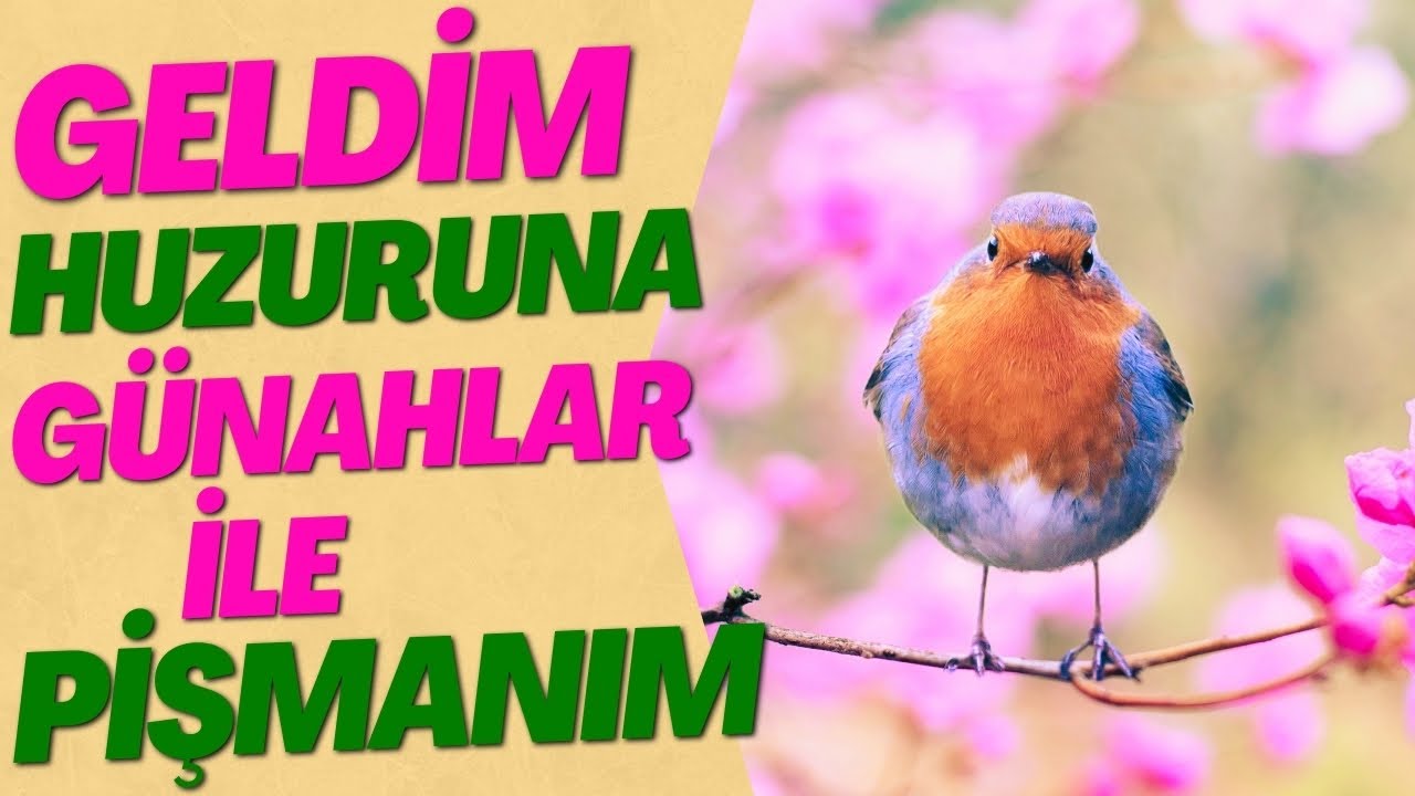 İLAHİLER | GELDİM HUZURUNA GÜNAHLAR İLE PİŞMANIM ALLAHIM SIĞINDIM SANA