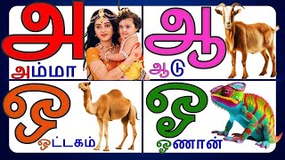 உயிர் எழுத்துக்கள்/அஆஇ/tamil alphabets/a aa e ee letters/AMMA AADU TAMIL