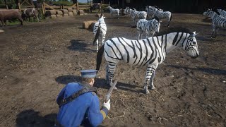 RDR2 - Hunting zebras in a farm