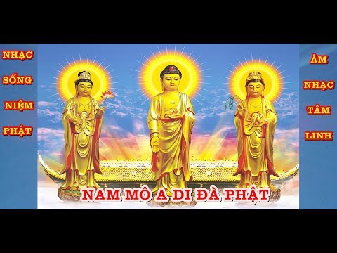 hoa tau nhac phat tại Xemloibaihat.com