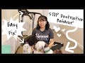 How To Stop Destructive Dog Behavior With A Treadmill | Wittle Havanese