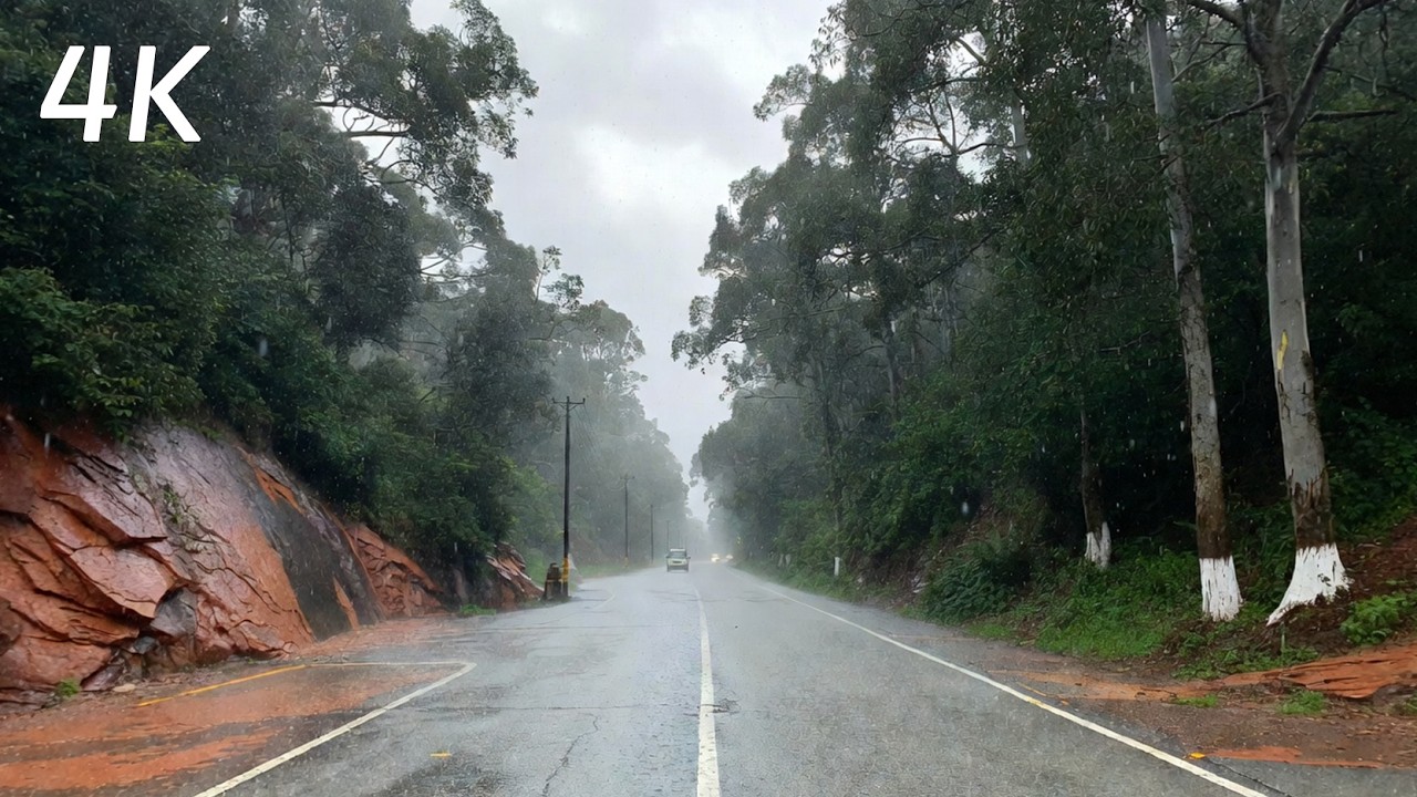 從銅梁安居古鎮到安岳毛家鎮 | 車載實拍穿越渝西丘陵入川中淺丘4K