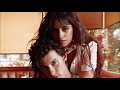 Shawn Mendes &amp; Camila Cabello - Señorita [MALE VERSION for Camila Cabello]