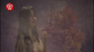 洪荣宏 & 张瀞云- 落完这场雨