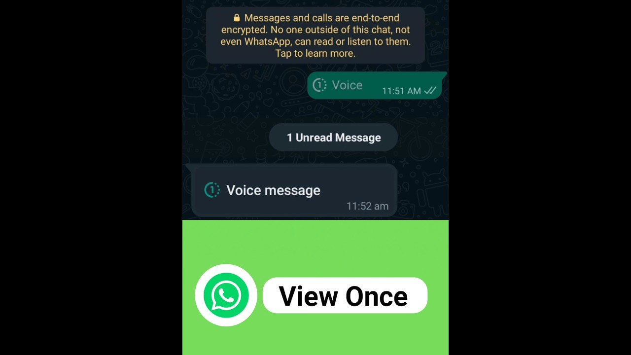 Send Auto-Delete Voice Messages on WhatsApp !