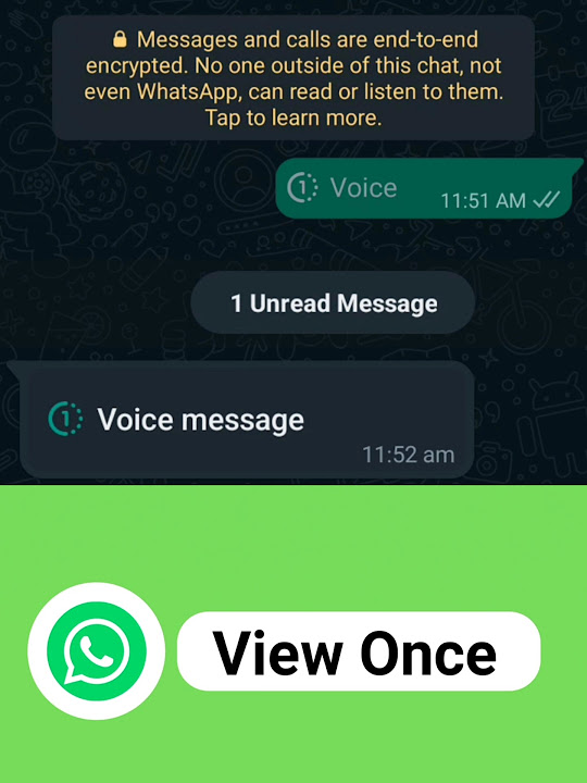 send-auto-delete-voice-messages-on-whatsapp-youtube