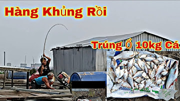 Câu Cá Trên Bè, Trúng Mánh Ổ Cá Dãnh Cá Cóc, Phúc Cuối Lên Hàng Khủng | Trần Đại Fishing
