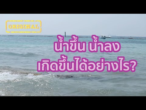 วีดีโอ: ลดระดับน้ำลงได้ไหม