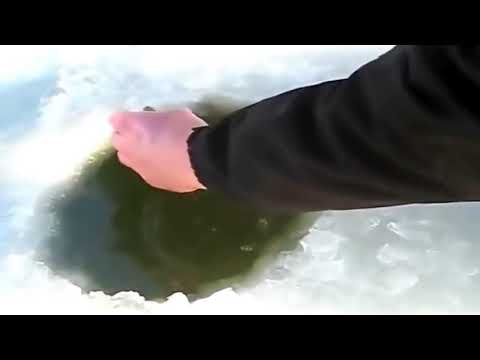 აისბერგი 2