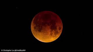 Time Lapse of Total Lunar Eclipse ~ Roseville, CA (March 3, 2026). [HD].