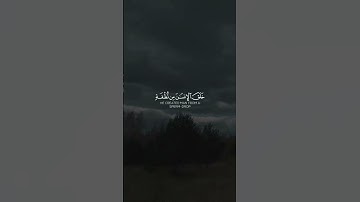 أرح سمعك 🥀القارئ: علي جابر 🍃حالات واتس آب #القرآن_الكريم