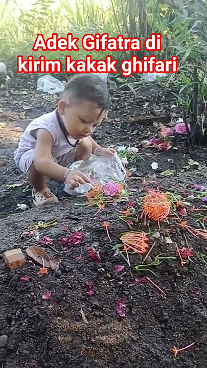 Dedek Al Ghifatra lahir meninggal tenang di surga ya dek ini dikirim kakak Ghifari fathan