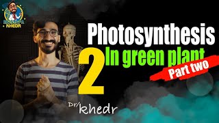 Biology | senior 2 first term 2023 | lesson 2 | photosynthesis part two | دكتور مصطفى خضر