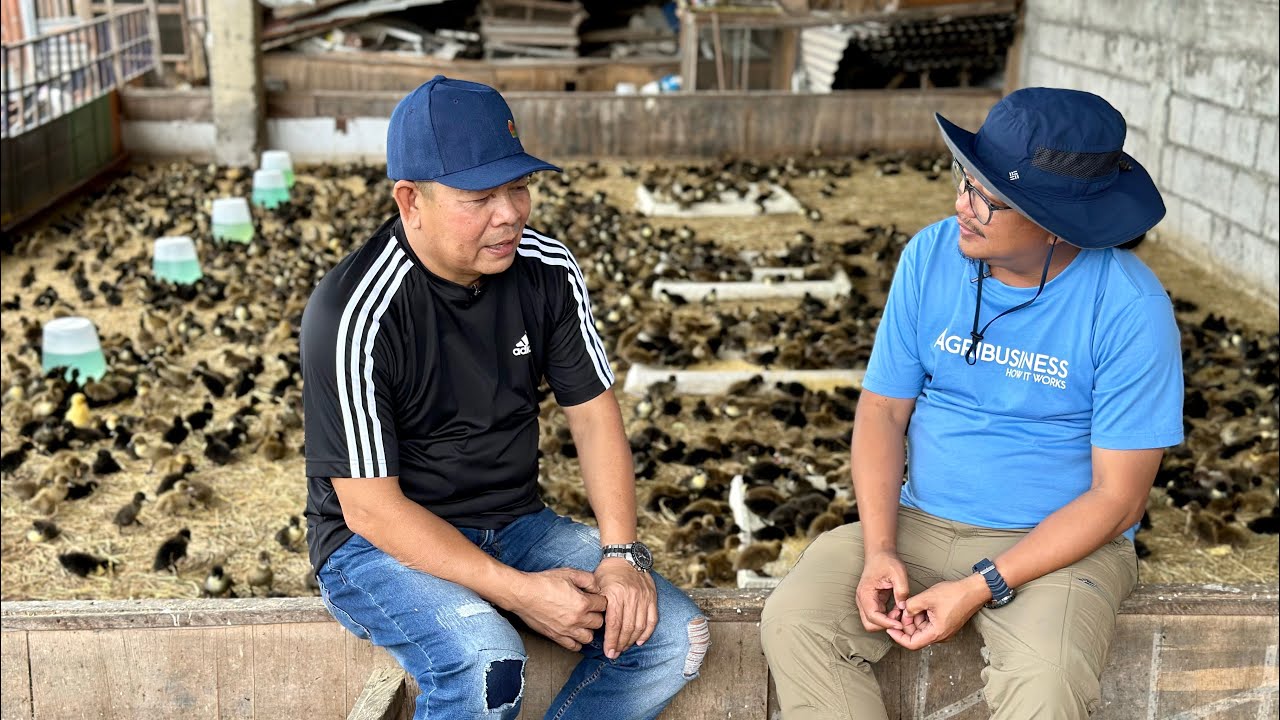 100 Million++ na ang kanyang assets dahil lang sa pag-iitik + Balotan hatchery operation