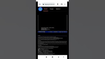 Google terminal 😱 look Google terminal 😍 wow
