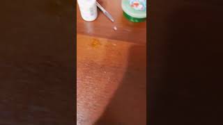 10 Февраля 2023 Г.