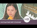 Общее пение в Церкви | Благодатный мир спасения 🎶 | Христианские песни (Lyrics)