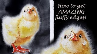 How to Paint a Fluffy Chick for Easter  Wet on Wet Soft Edges explained! Watercolor 4 Beginners