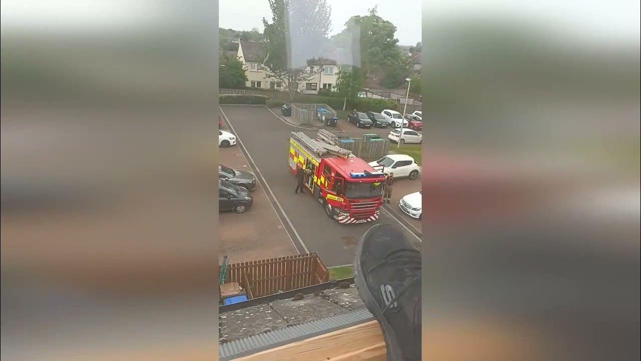 Tree surgeon called to rescue cat ends up being rescued by fire service