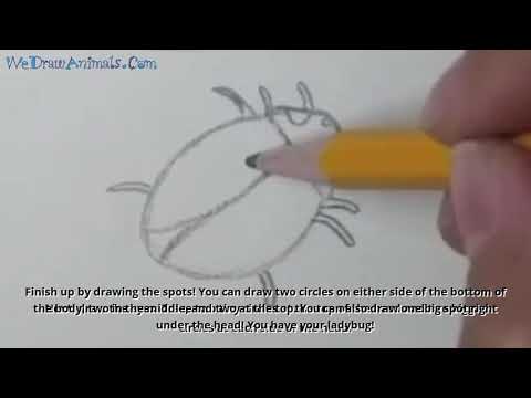 How to Draw a Ladybug In 6 EASY Steps - GREAT for Kids & Beginners