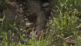 Protests in Camden over mountain of contaminated dirt
