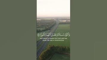تلاوة عطرة #قرآن #تلاوة #خشوع #quran #prayer #vlog #viral