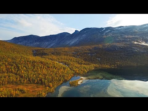 Video: Torn Längs Sosenki-floden