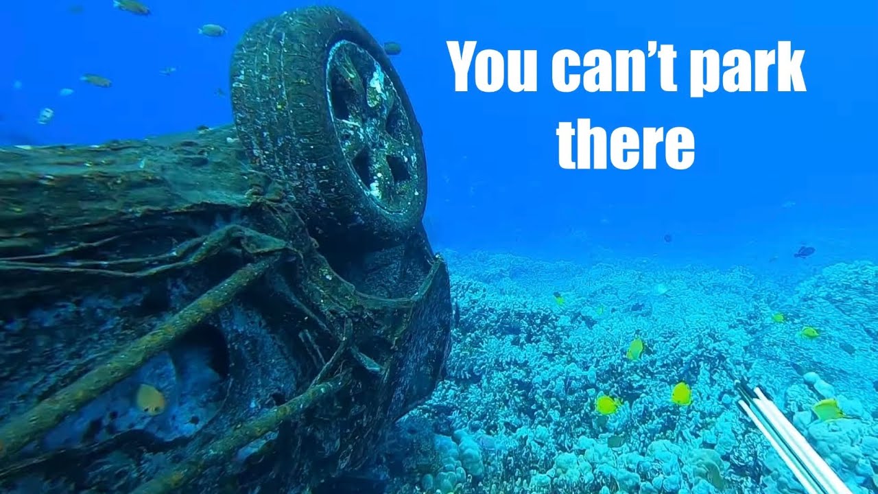 Подводная охота на Гавайях | Хорошая рыба, отличный улов, лови и готовь